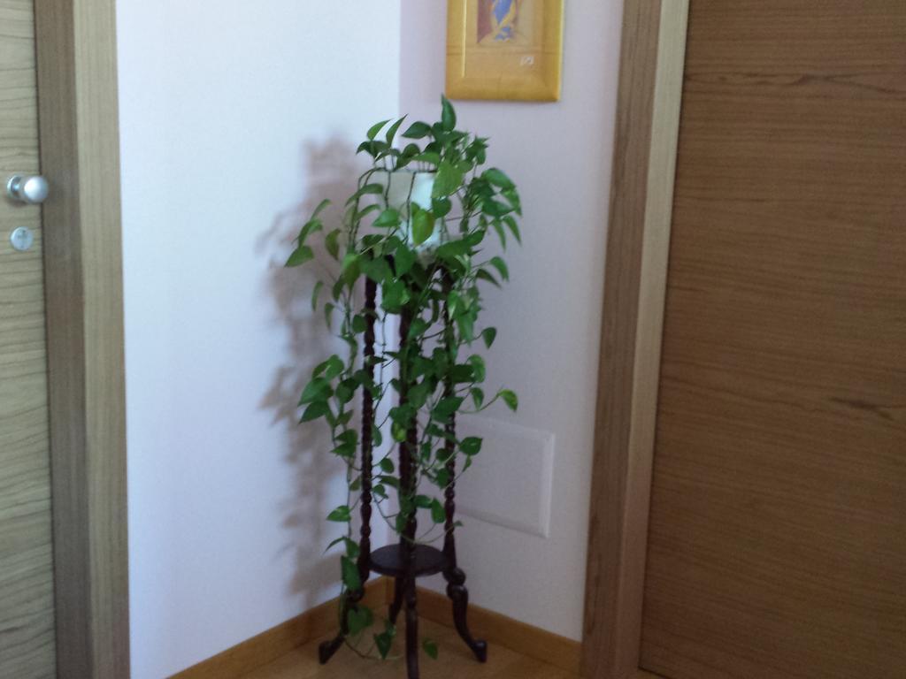 Garden B&B Arezzo Zewnętrze zdjęcie